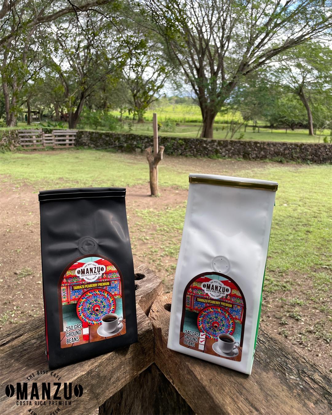 Peaberry coffee